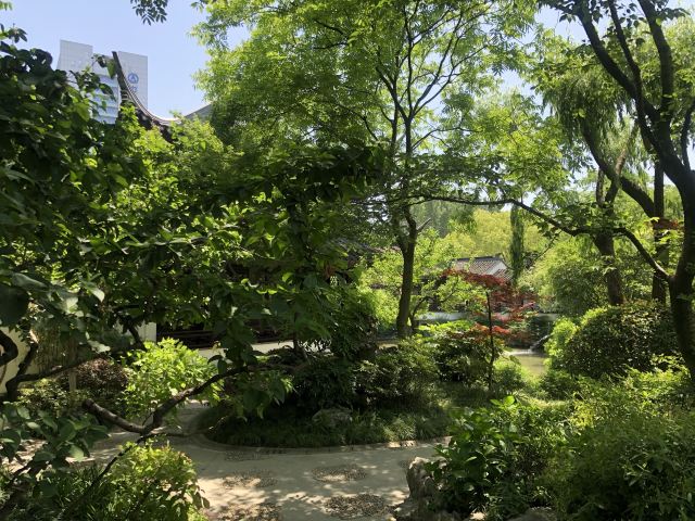 古藤园旅行图片 15