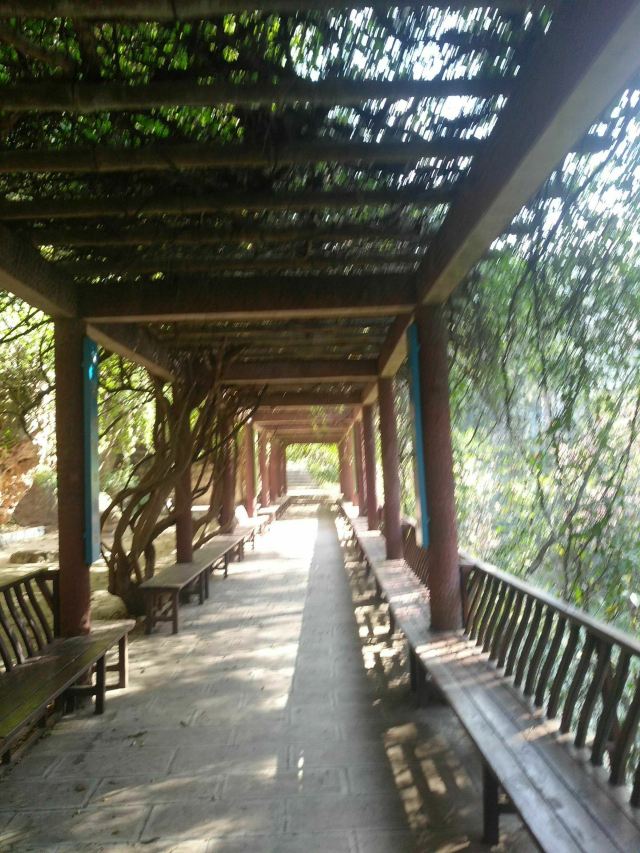 界鱼石公园旅行图片 2