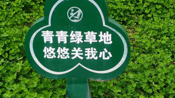 播州區播雅濕地公園
