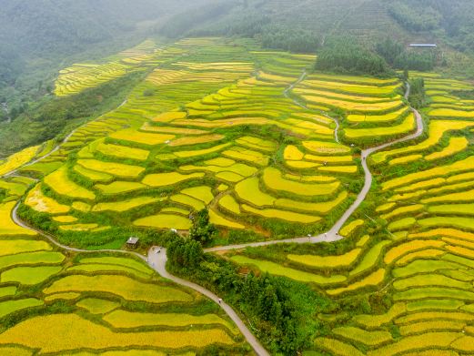 黑山梯田