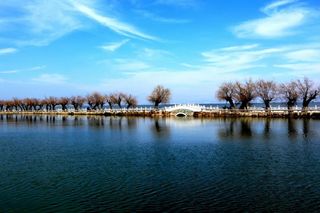 旅游趣谈:昆明周边出现一种长了亿万年的石头,怪好看!