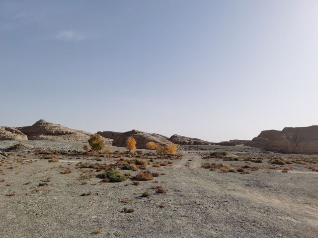 罗布泊大峡谷旅行图片 5