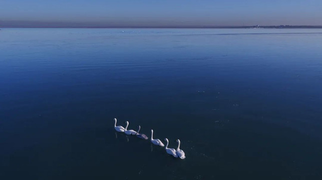 冬日的红碱淖,美的让人心醉