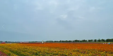 仙眷花洲花海公園