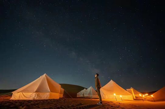 出游选头雁,逍遥似神仙