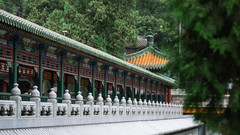 石景山区游记图片] 山水漫步君——八大处新玩法