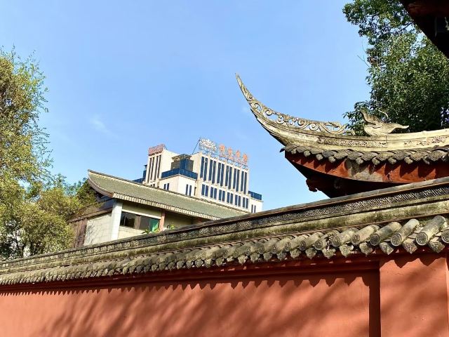 文殊院旅行图片 2