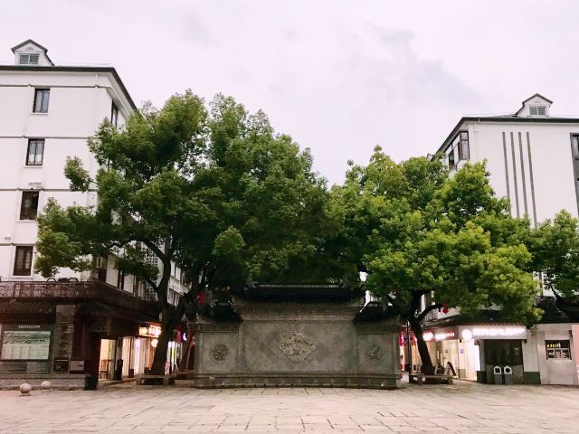 青溪老街旅行图片 2