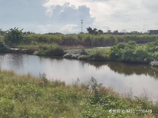 沙坡郊野湿地公园
