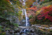 明治之森箕面国定公园景点图片