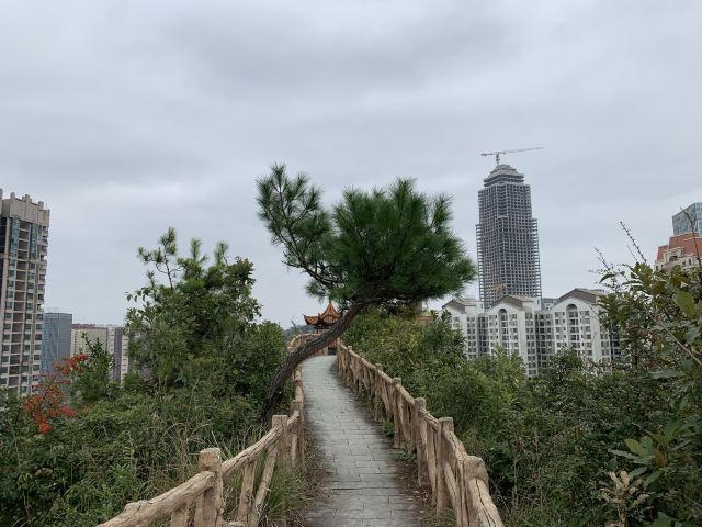 云贵山山头公园旅行图片 1