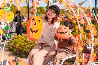 毗邻迪士尼,上海户外遛娃首选,一天玩转季高兔窝窝亲子园