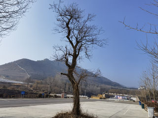 爬山进行时~龙门崮一日游