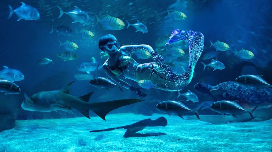 常州海昌海洋探索馆