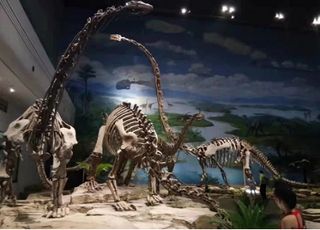 观天下第一灯，品盐帮美食