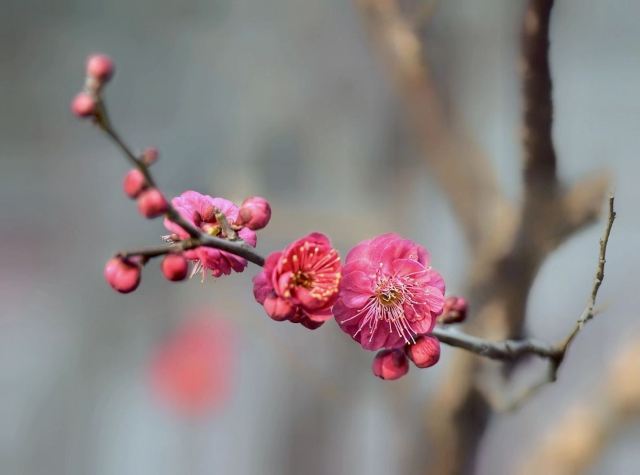 祥和公园旅行图片 4