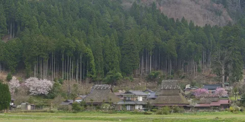美山町北村
