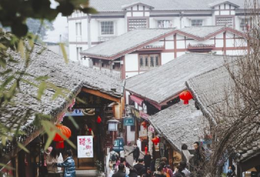 重庆市区包车一日游【独立用车可定制行程】【[真正纯玩]全程不进购物店，无车销，不卖字画等，将纯玩进行到底。】