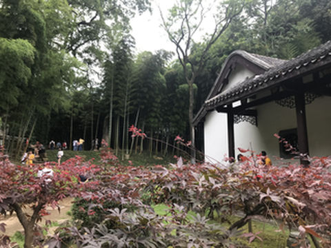 长沙之行(2019.6.6-6.9)