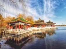 五龙亭-北京-nicolemum