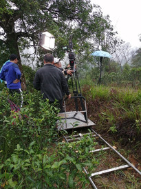 龙州游记图片] 雨中的茶山上，他们撑着伞拍音乐电影，真是一群兢兢业业的年轻人