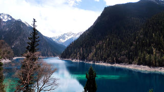 去旅游就该去和喜欢的人去喜欢的地方看喜欢的风景呐——成都-九寨沟-黄龙5天4夜