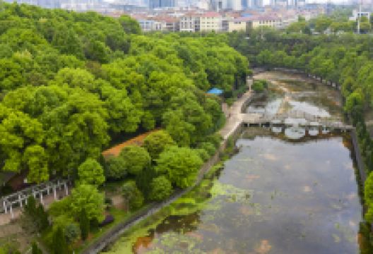 星沙文化公园景点图片