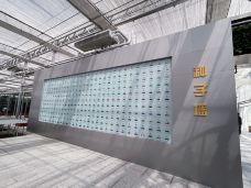 龙井-陆陆噜噜露露