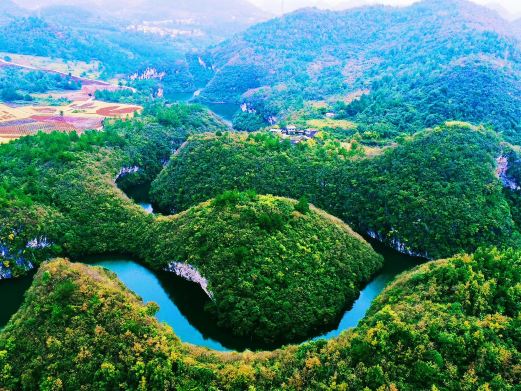 龙湖花海生态观光园