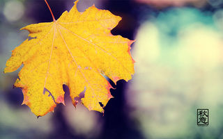 银川十一去哪儿玩 | 国庆出游小攻略，请查收！