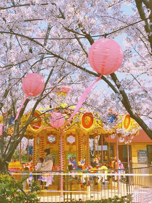 宁波哪里好玩?春日赏花出行,解锁宁波最美拍照地