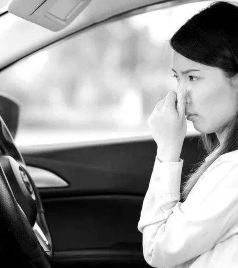 沙伊布斯游记图文-车内异味重，这个“保温杯”帮你轻松搞定！！！