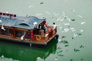 一个被低估的宝藏旅游城市!第一次去四川德阳,这几个地方必打卡