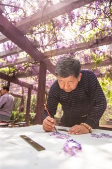 龙口南山旅游景区-龙口-C-IMAGE