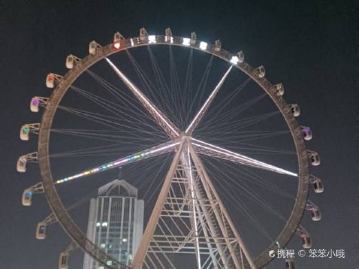 泰盛楼顶摩天轮