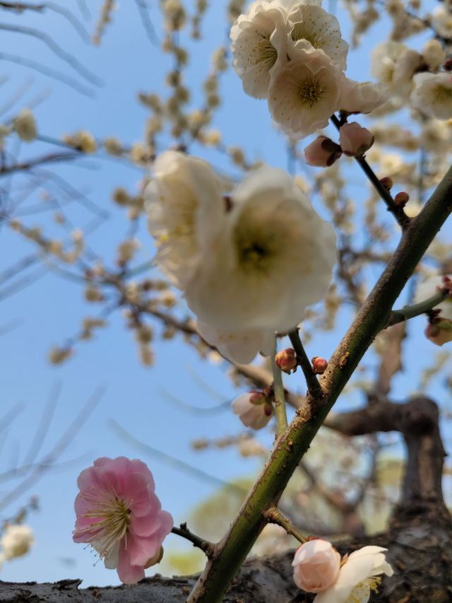 北京明城墙遗址公园旅行图片 7