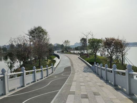 荔湖公园