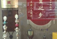石龙举重博物馆(中山公园店)景点图片