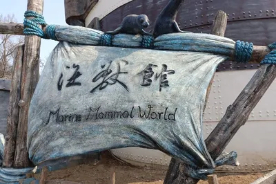 老虎滩海洋公园-海兽馆