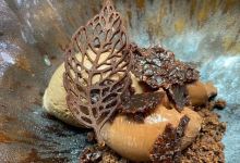 L'ouvrière美食图片