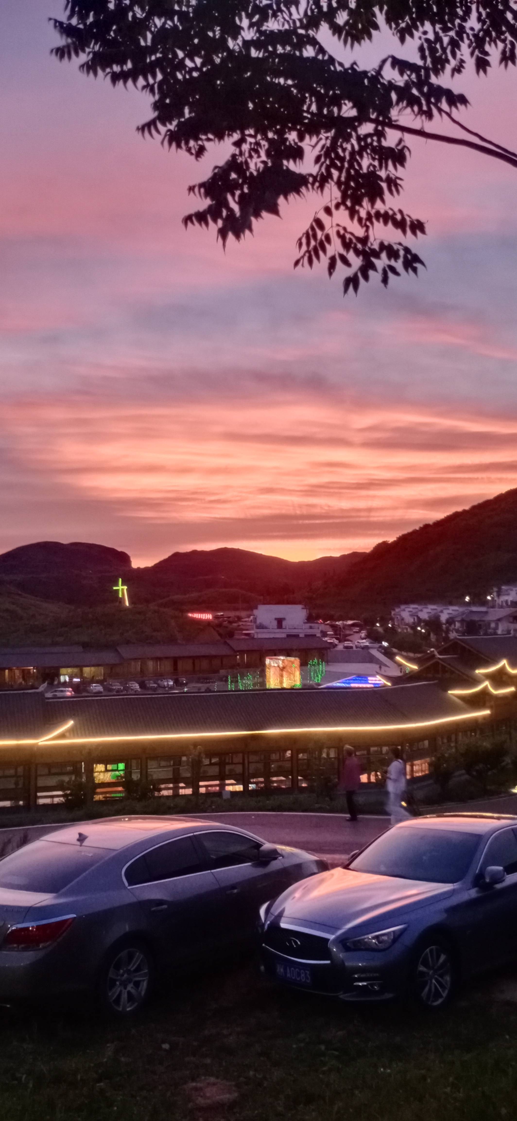 七彩山鸡农家餐厅图片