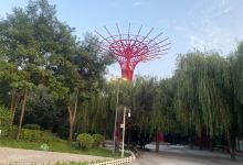 千亩森林公园景点图片
