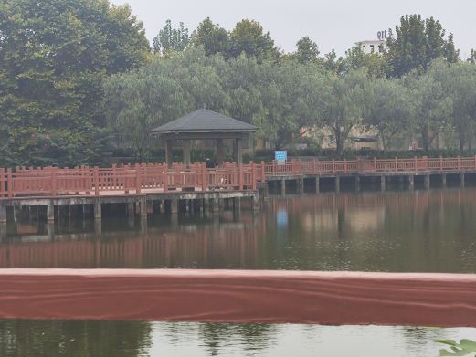 白鹭公园