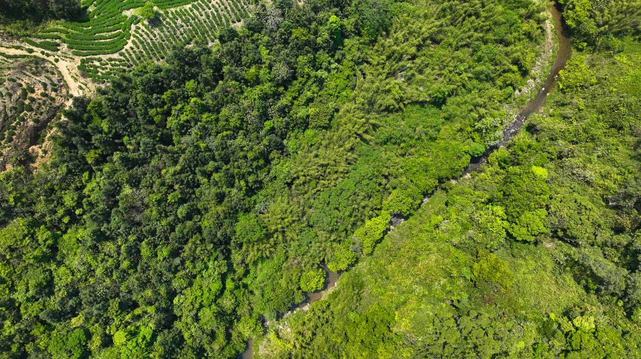 惠州雷公峡漂流