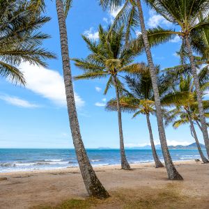 Palm Cove