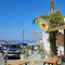 Avocado Restaurant