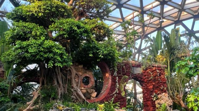 庐山植物园山南分园北区