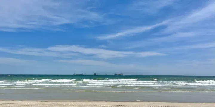 紅樹林天天趕海