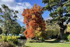 梦娜维尔花园-基督城