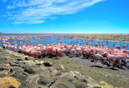 鲸湾海滨景点图片